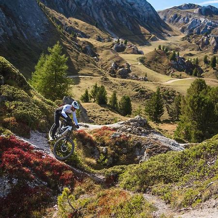 Chalet Bouquetin- Aigle Royal Daire La Plagne Dış mekan fotoğraf